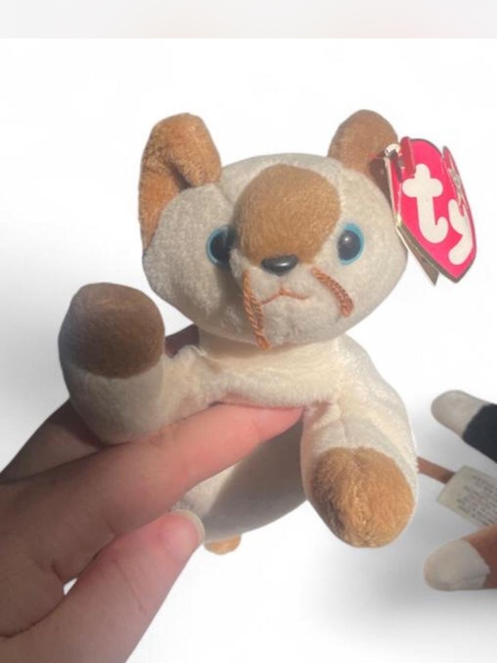 TY vintage Beanie Babies Snip Siamese Cat Plush - Cream & Brown